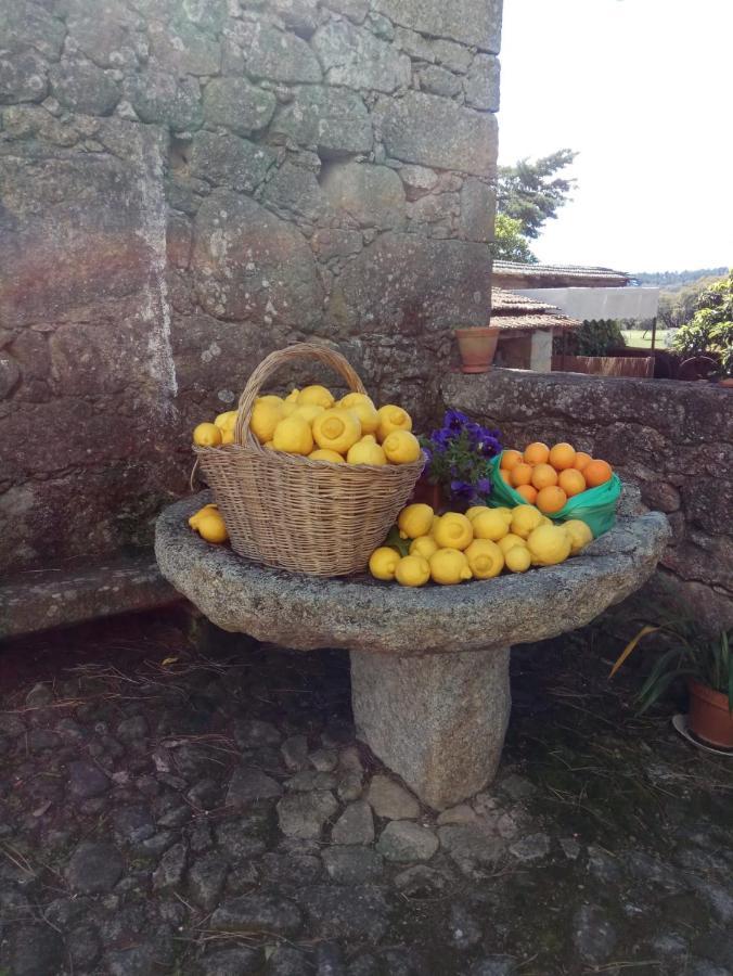 Casa Do Balcao Guest House Alcains Bagian luar foto